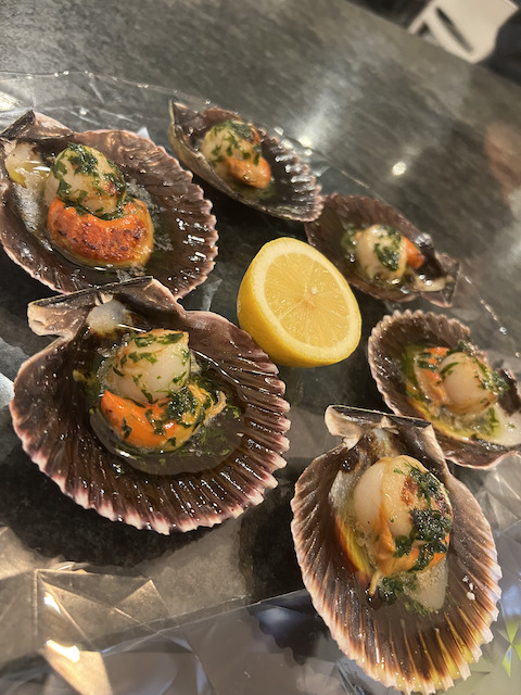 Zamburiña (Viera Del Pacífico )